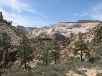 Above the Canyon